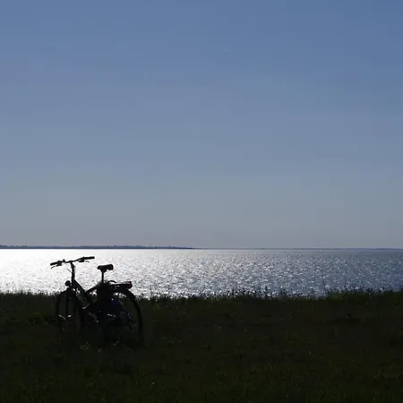 A L'ombre De L'albizia - Prázdninový dům